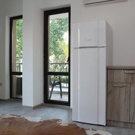 Salena 普里莫尔斯科