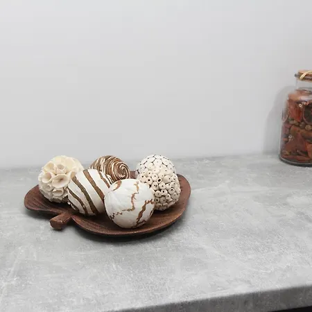 Salena 普里莫尔斯科